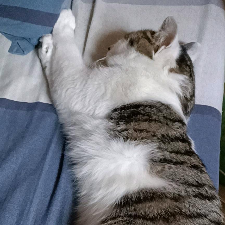 ᶜᵐˡ我钱有用ᶜᵐˡ
