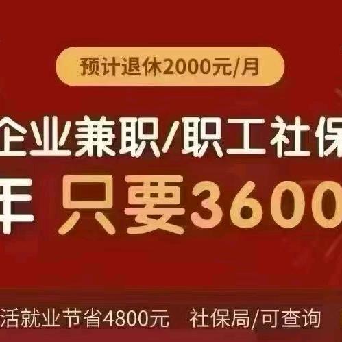 社保补交，与规划，小号，陈老师