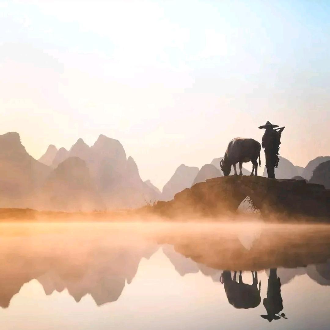 忘尘