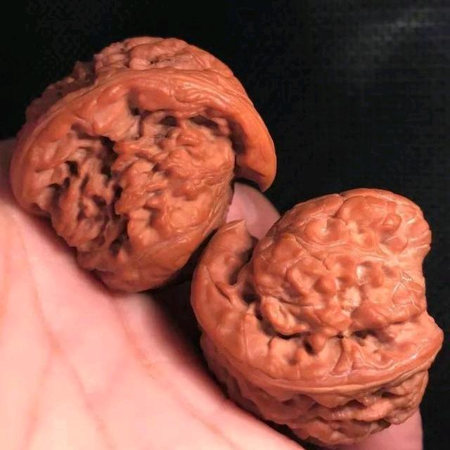 大海哥核桃