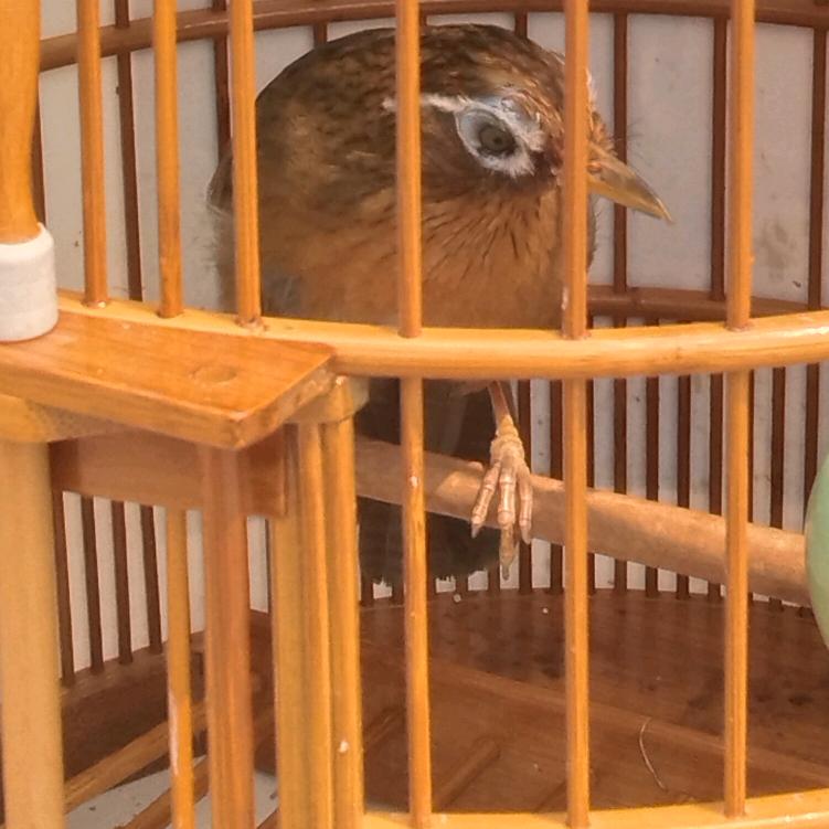 @你好༺陌生人༒