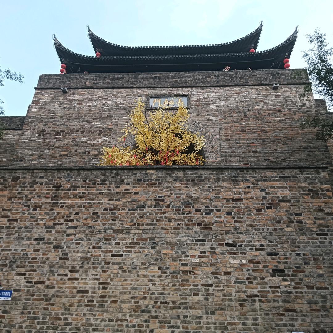 一心一意🌱