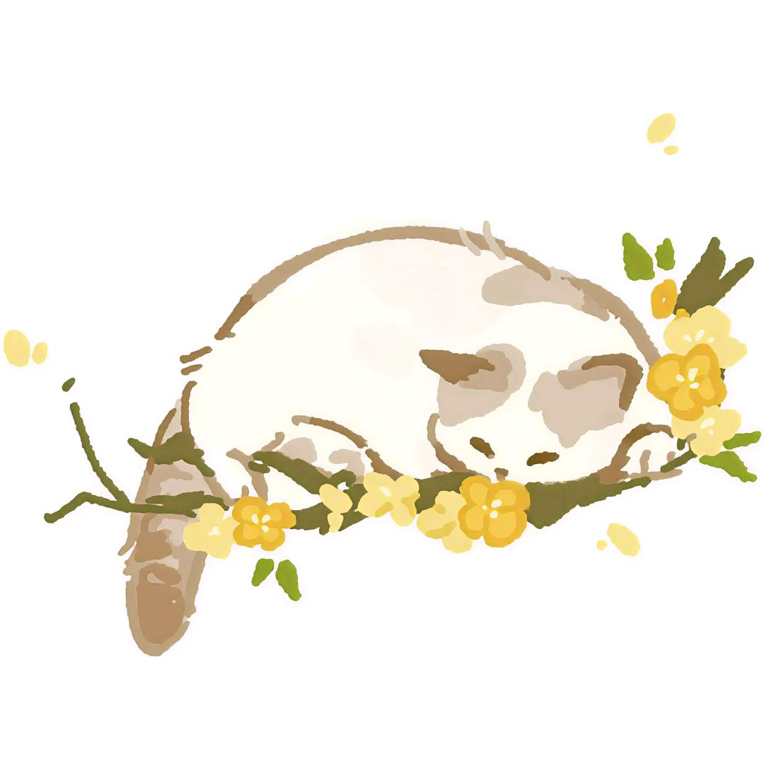 太阳猫