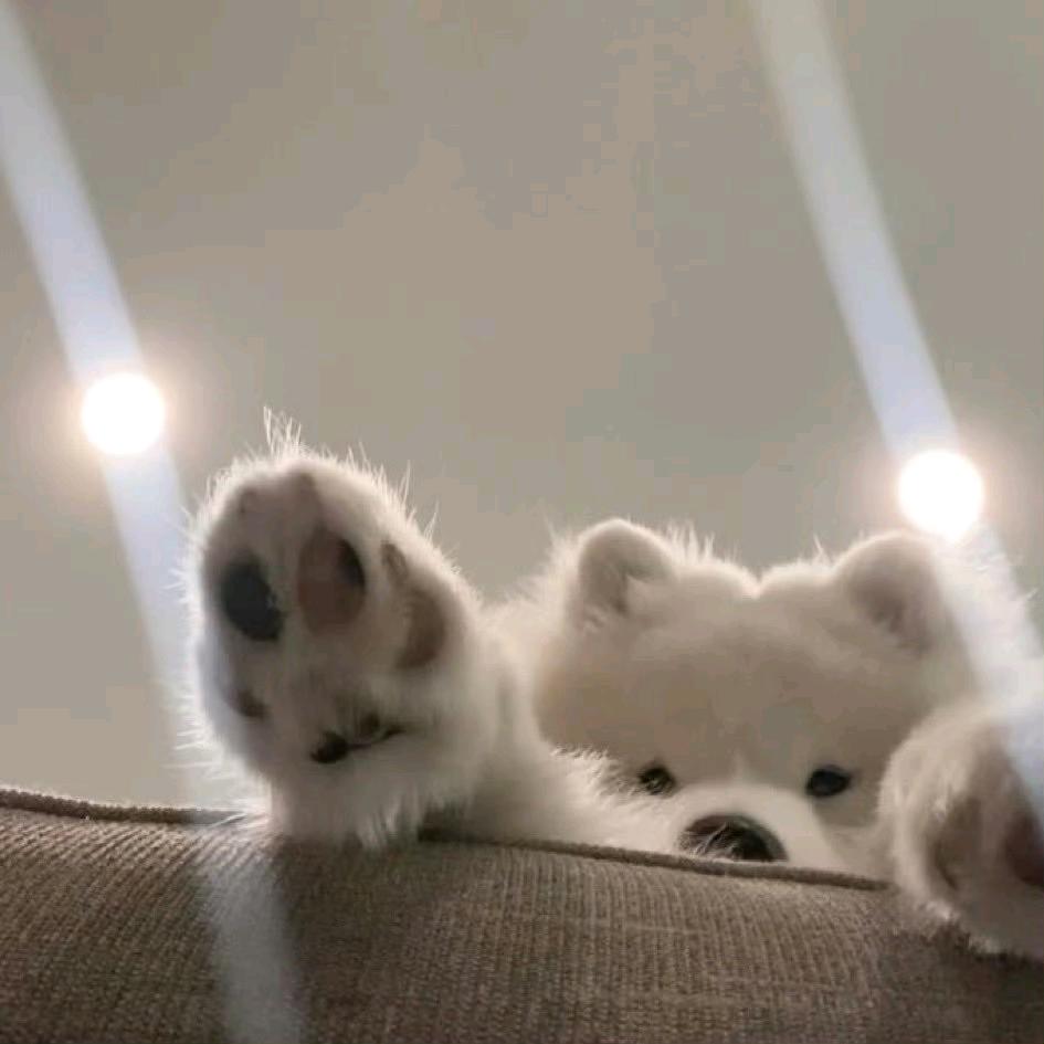 lcc赚三个亿送我两个