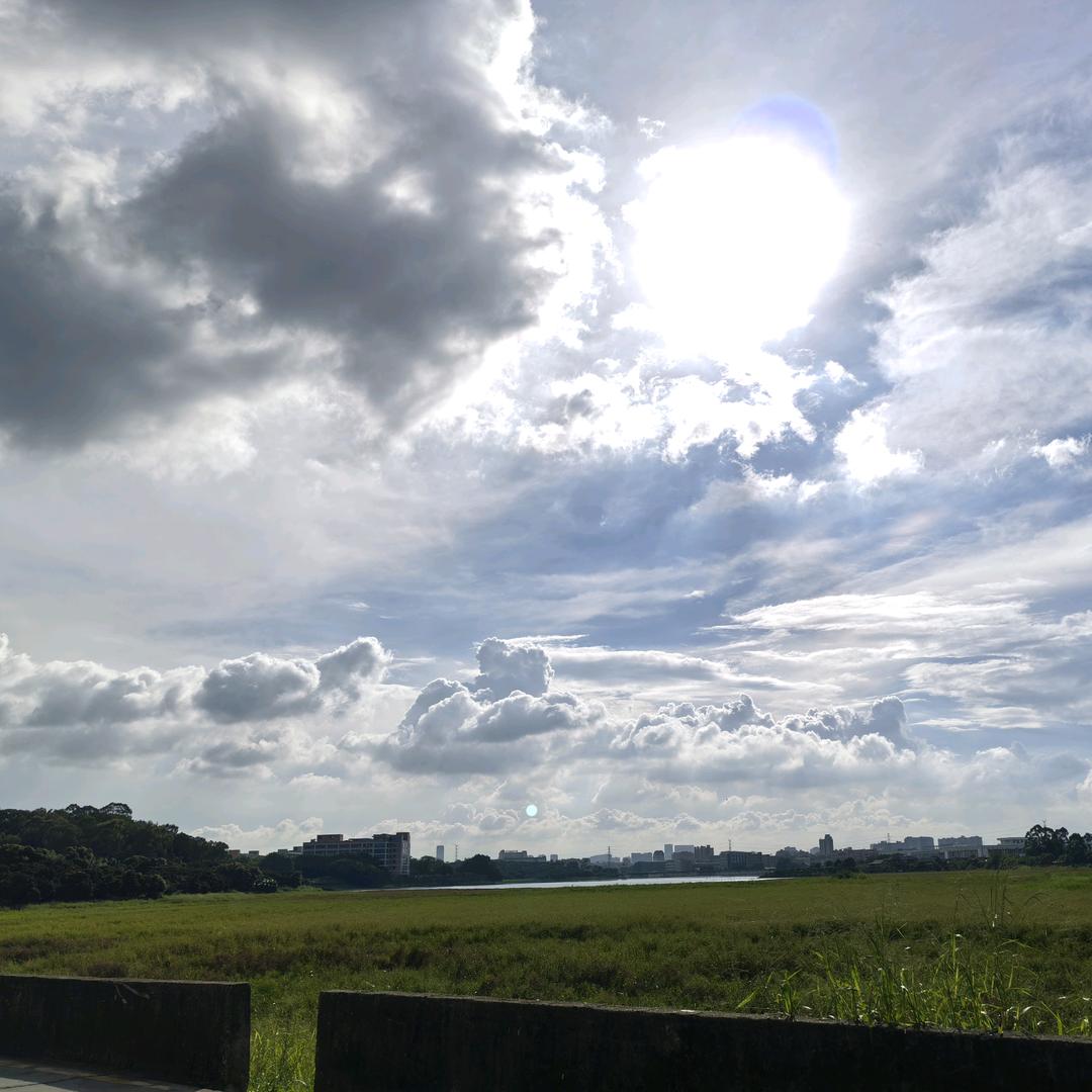 青竹叶