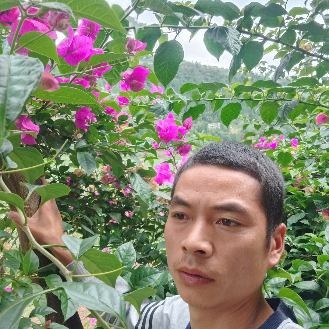 一心一意