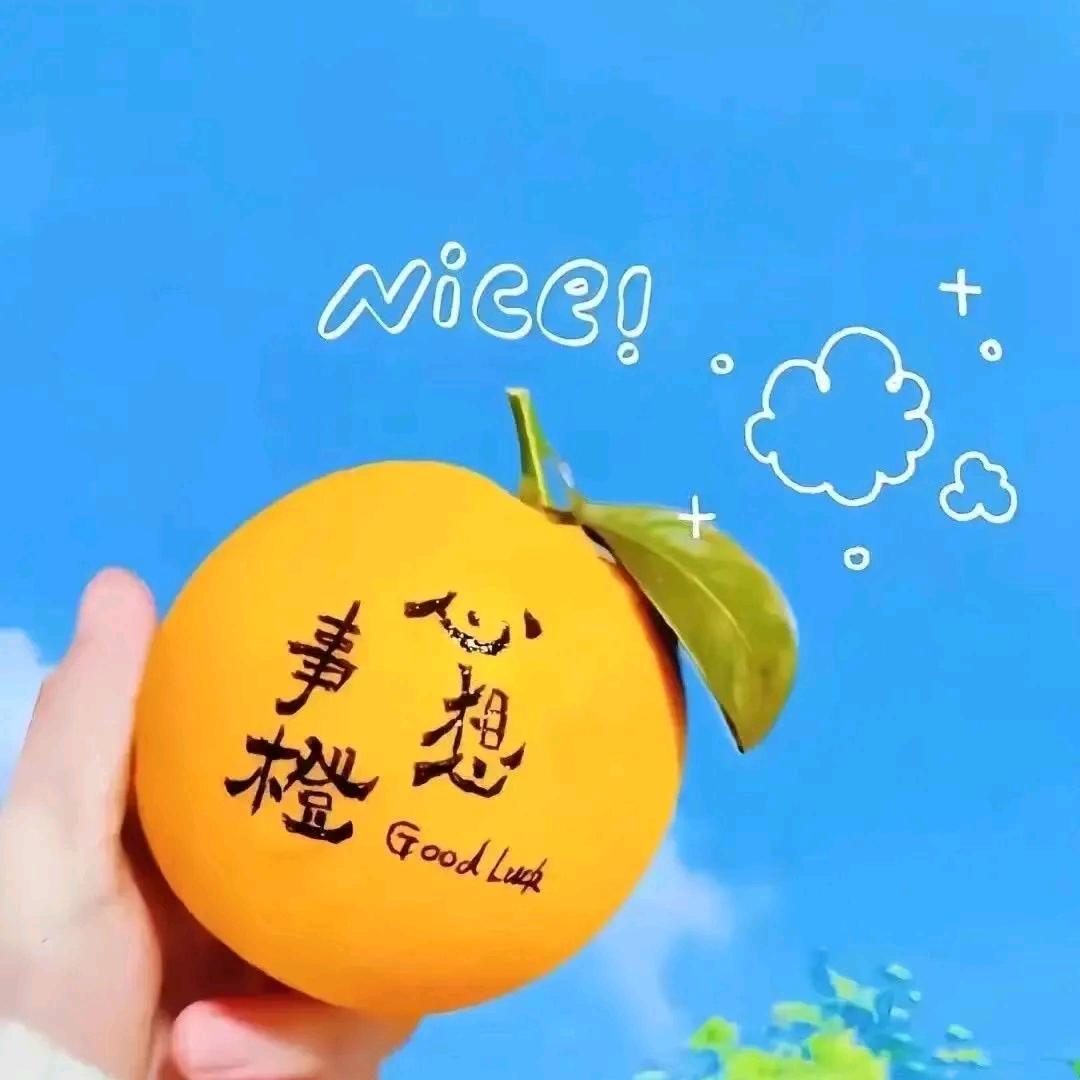 星河绘梦