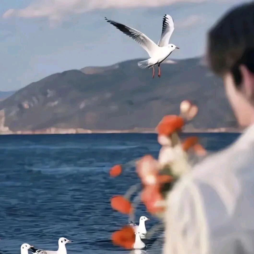 ༺꧁ིི玦ིི꧂༻