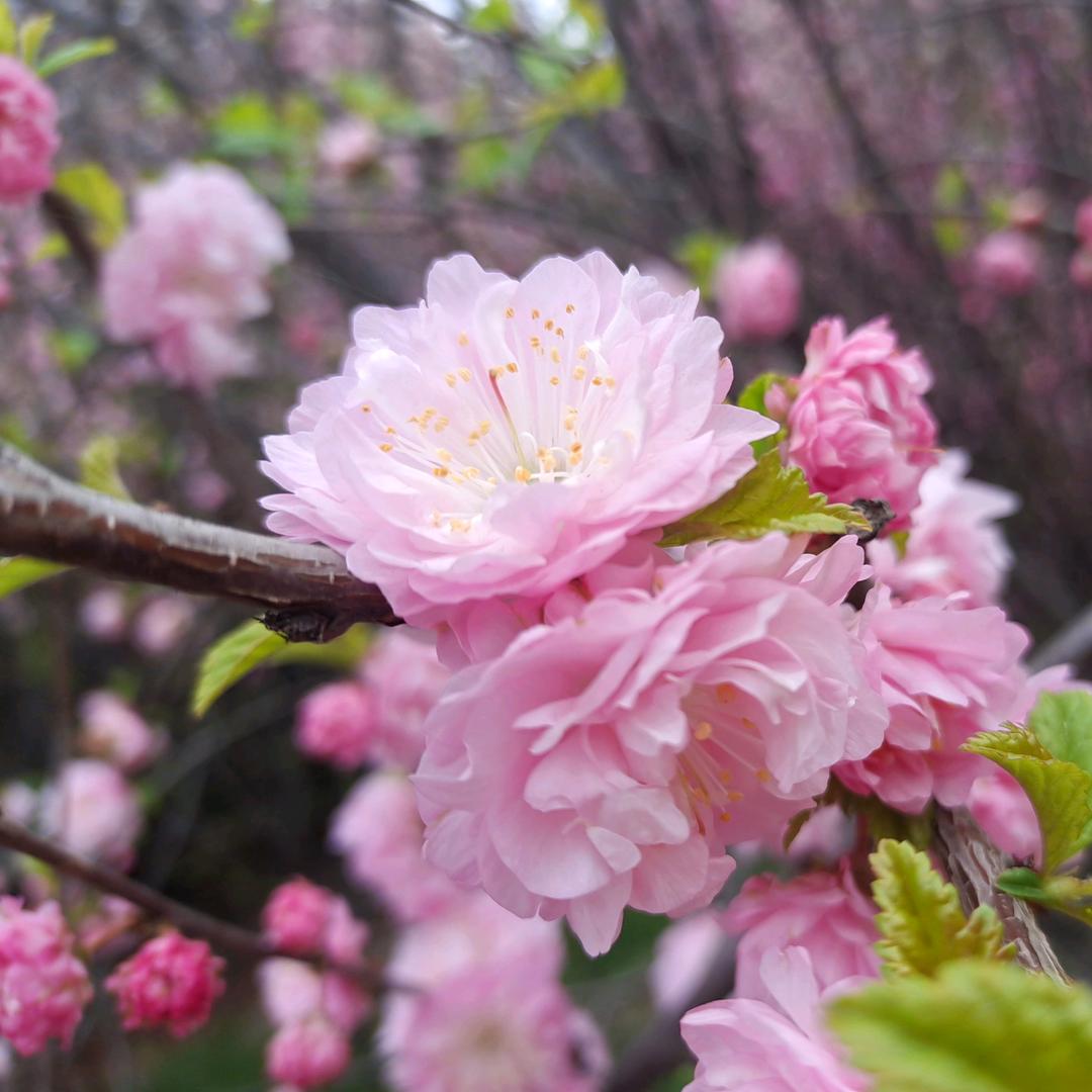 不吵