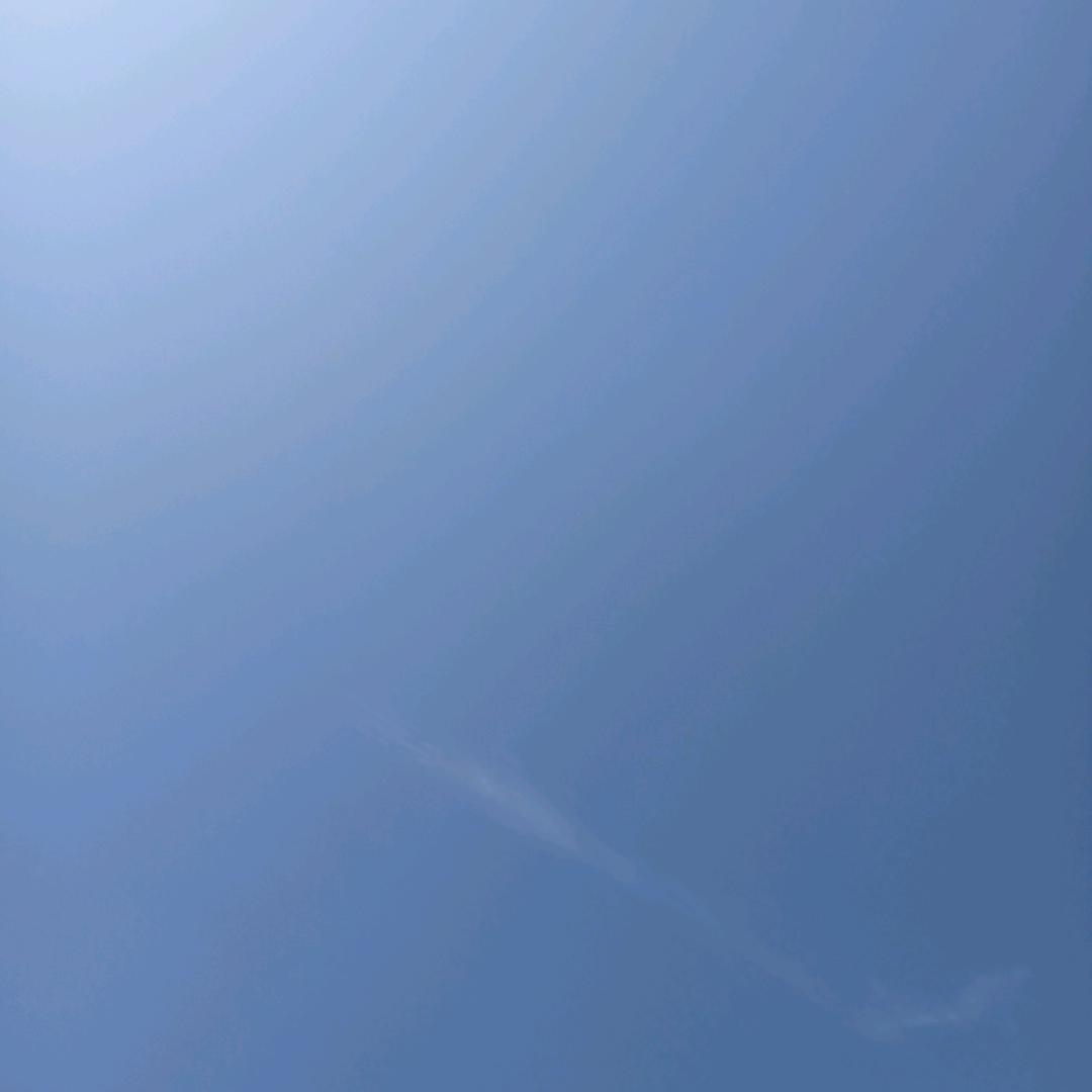 请叫我，仔仔