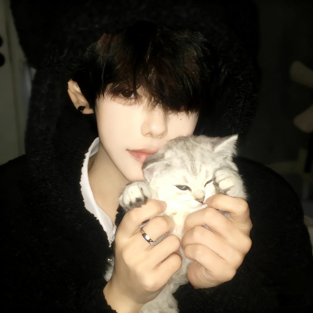 王者荣耀免费打号