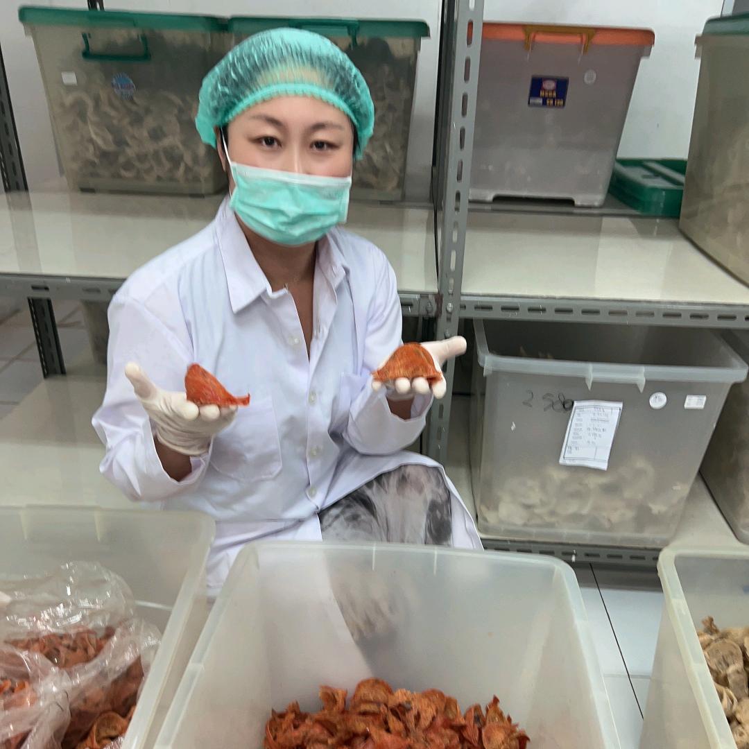 臻元汇滋补品行AYVF(即墨店)专用号