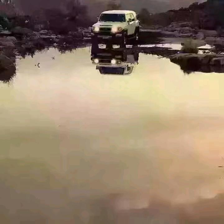 蛇年大吉