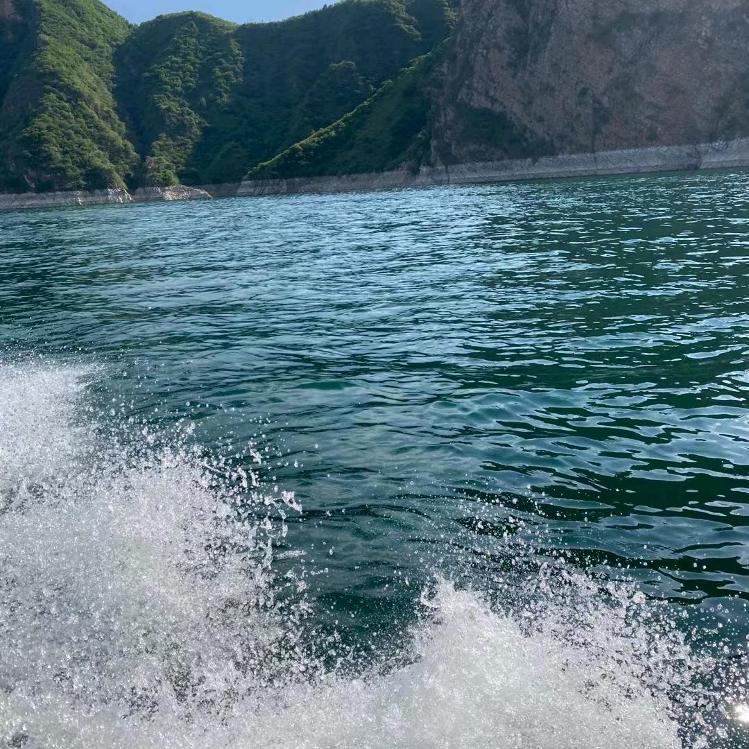 扬