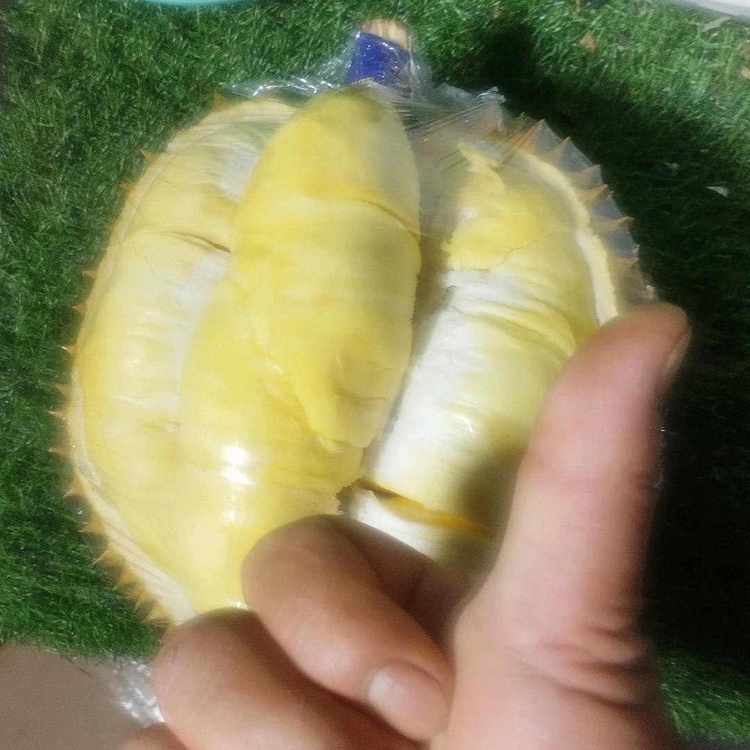 小八戒