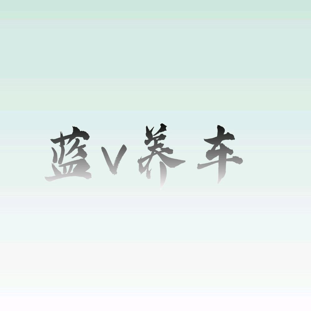 蓝v养车张哥