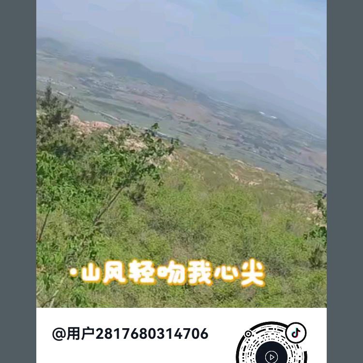 用户心想事成