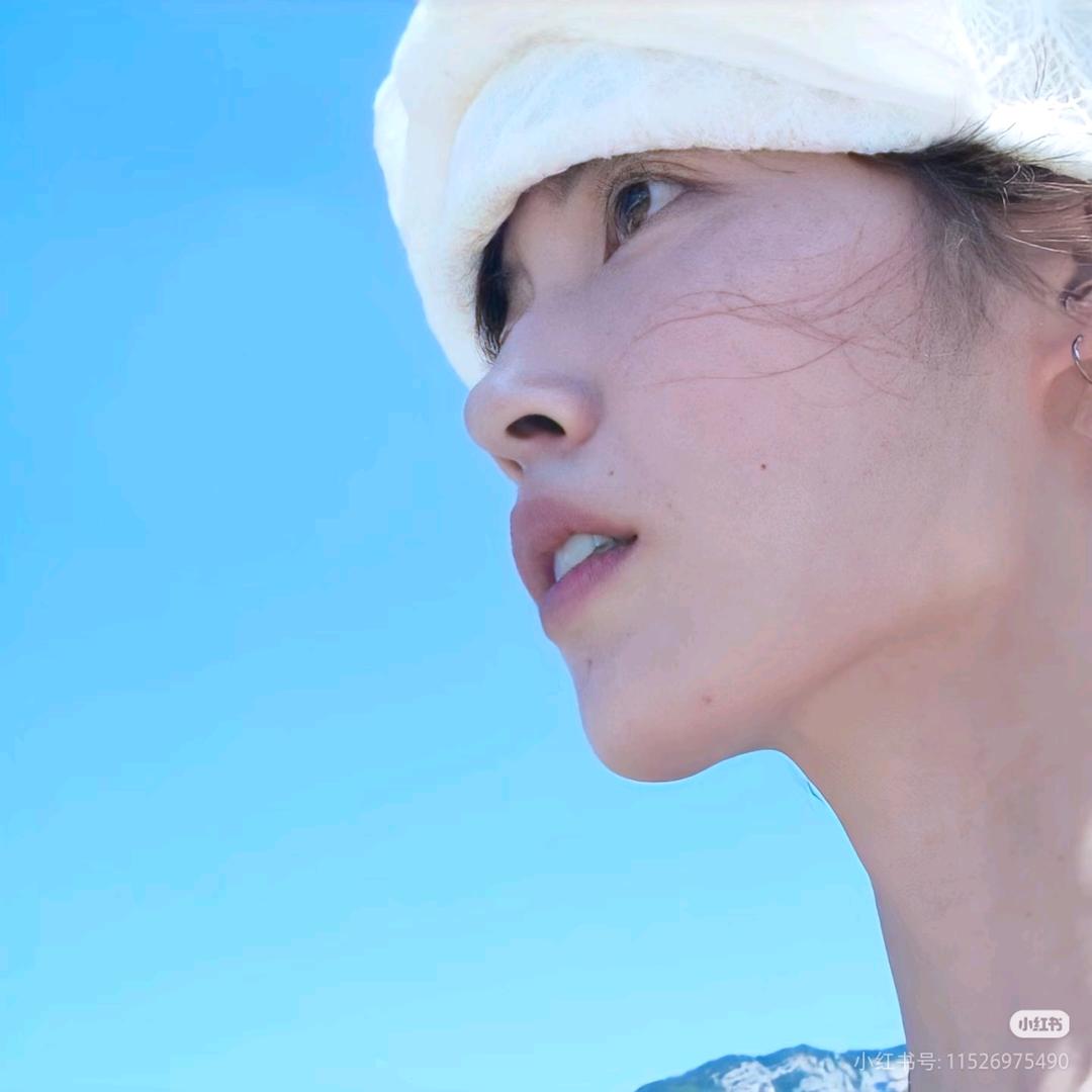 好想养只狗