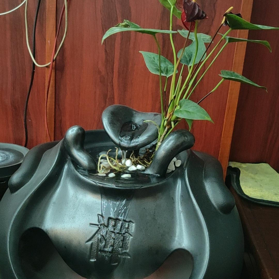 风声水起工地人