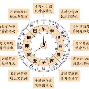 小白