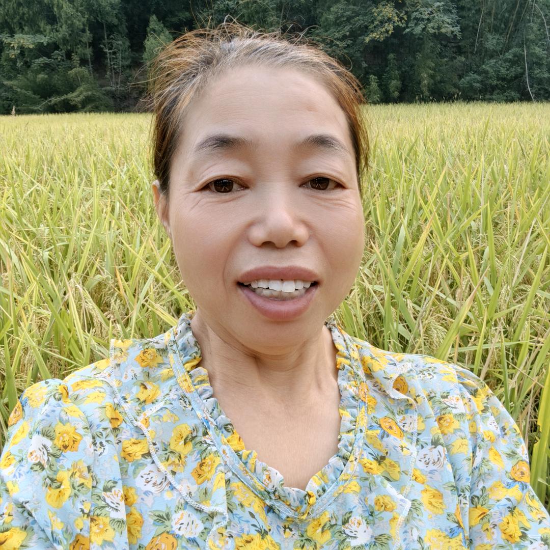 农村姐