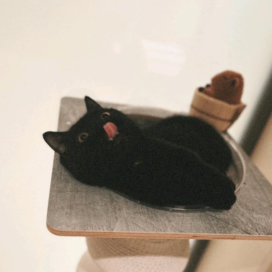 .🎧狐蒙苏打饼_