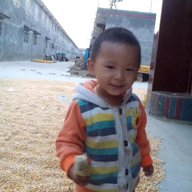 山东曹县蔬菜基地代收代发