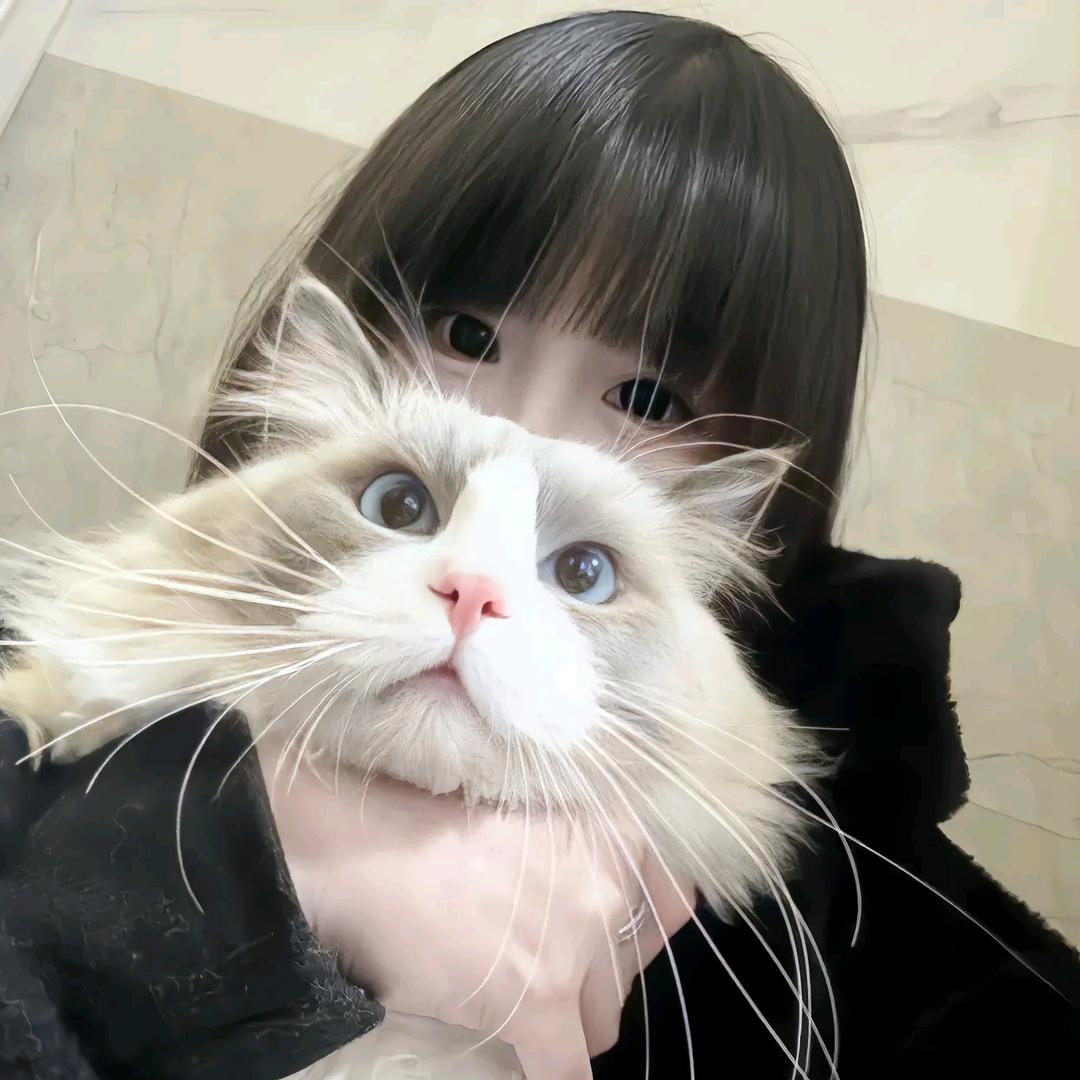 铭琪严选好物