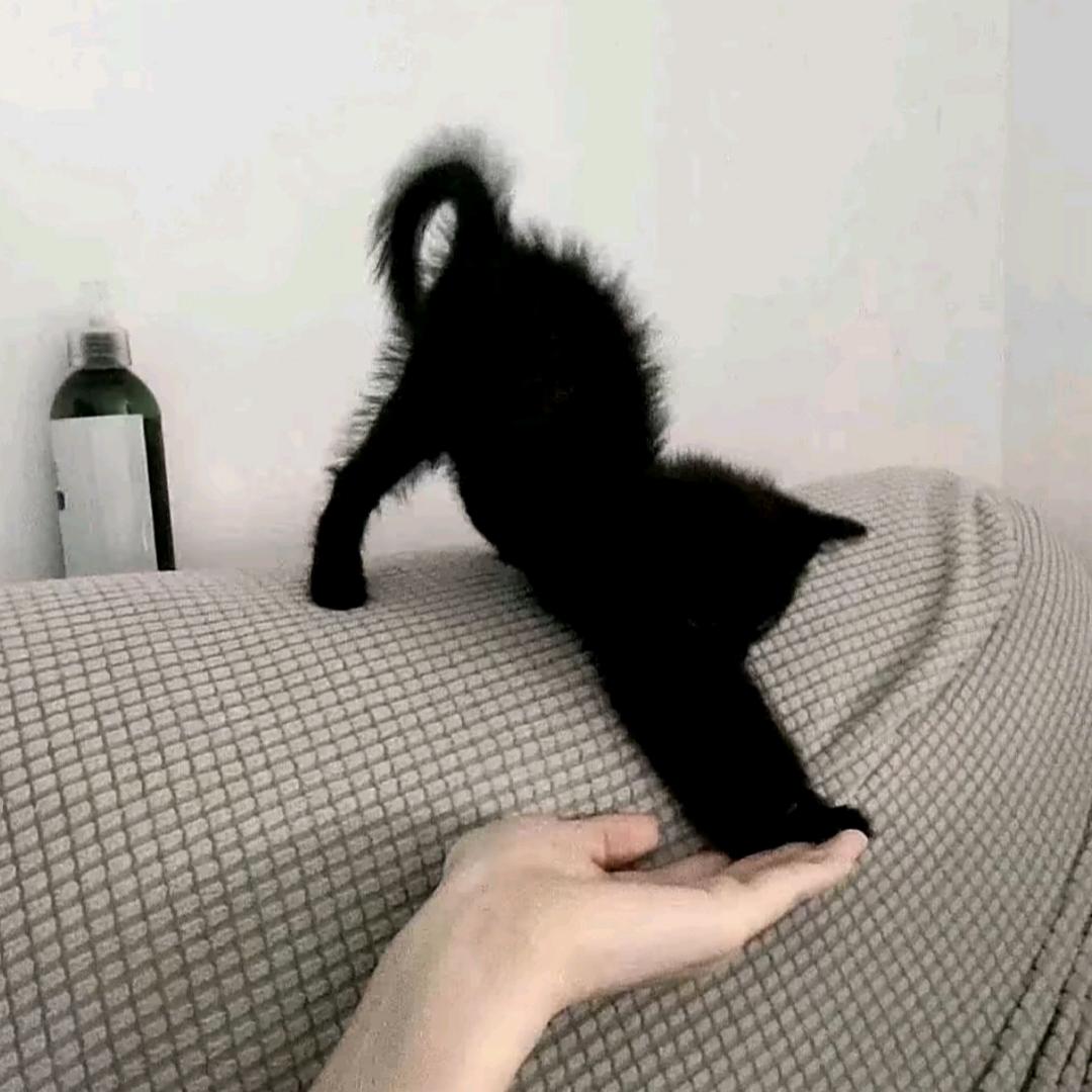 彤彤/.