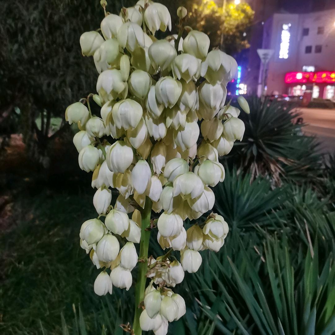 不变初心