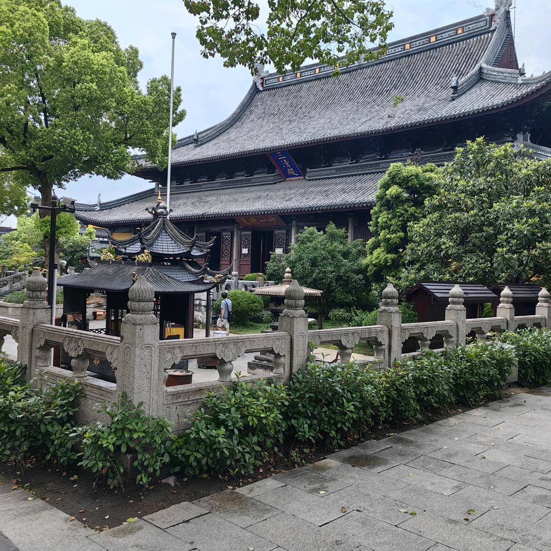 青雉