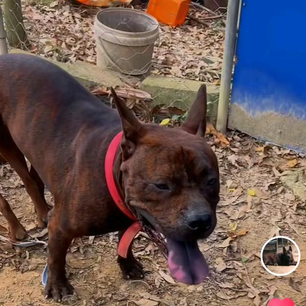 心无杂念Σ＞―(灬⁺д⁺灬)♡―――＞