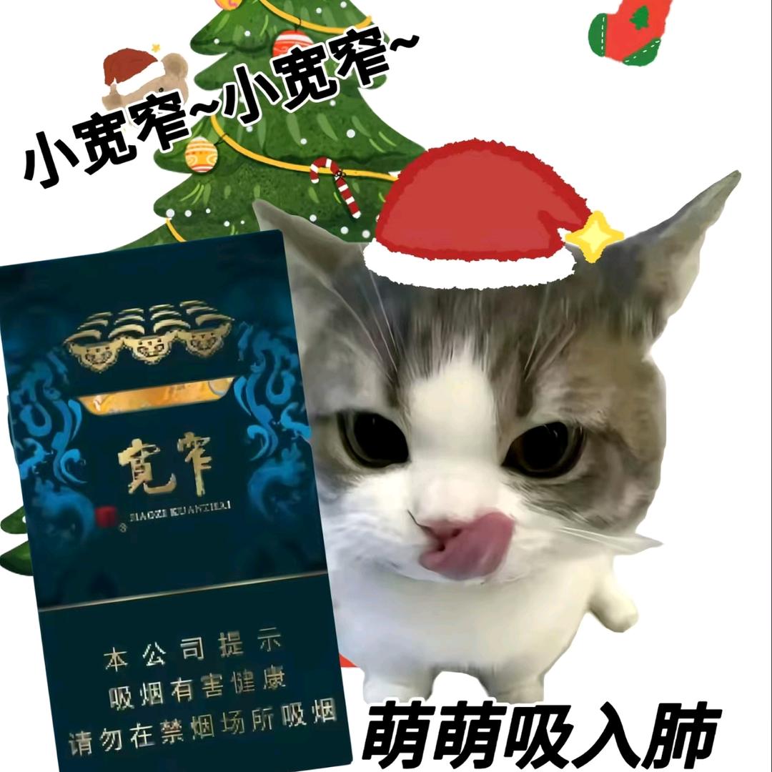 💫锦上💫