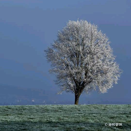 大风吹吹🌬️🌬️