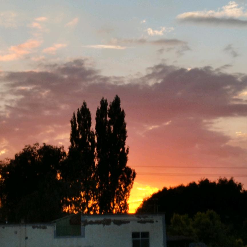 兰州红古兴旺苗木农民专业合作社