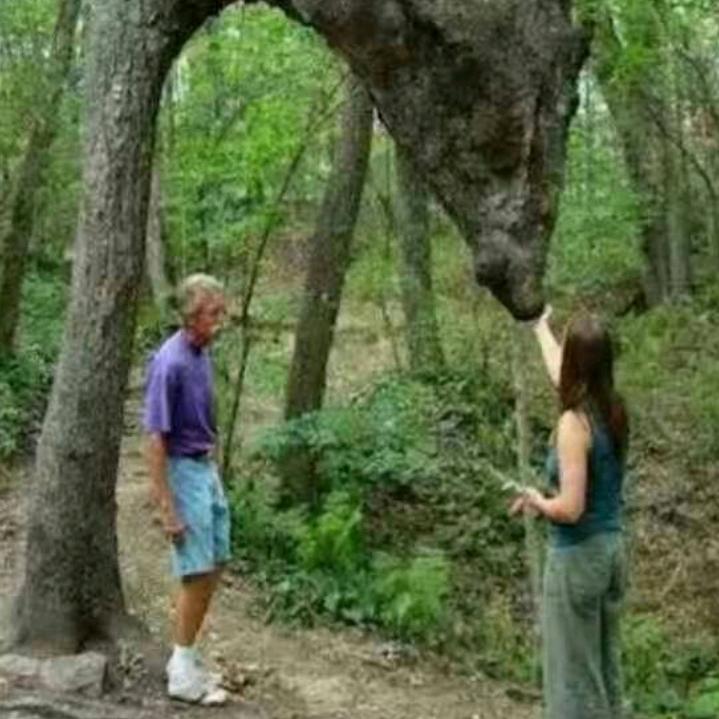 相隔千涯也温暖