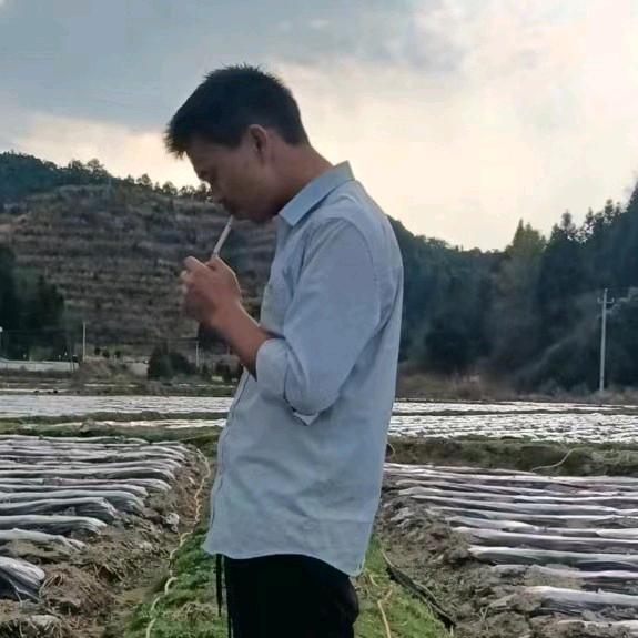 春林