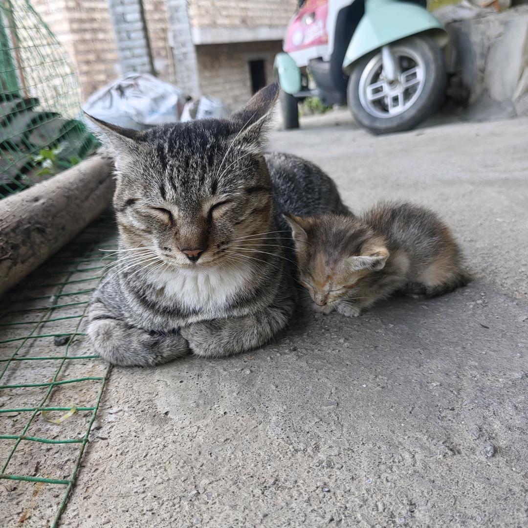 @阿静和小猫