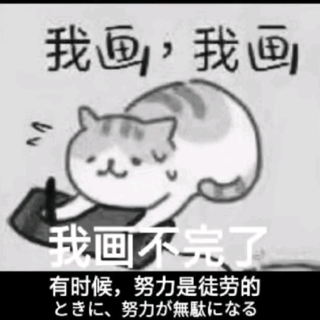 我和我的猫