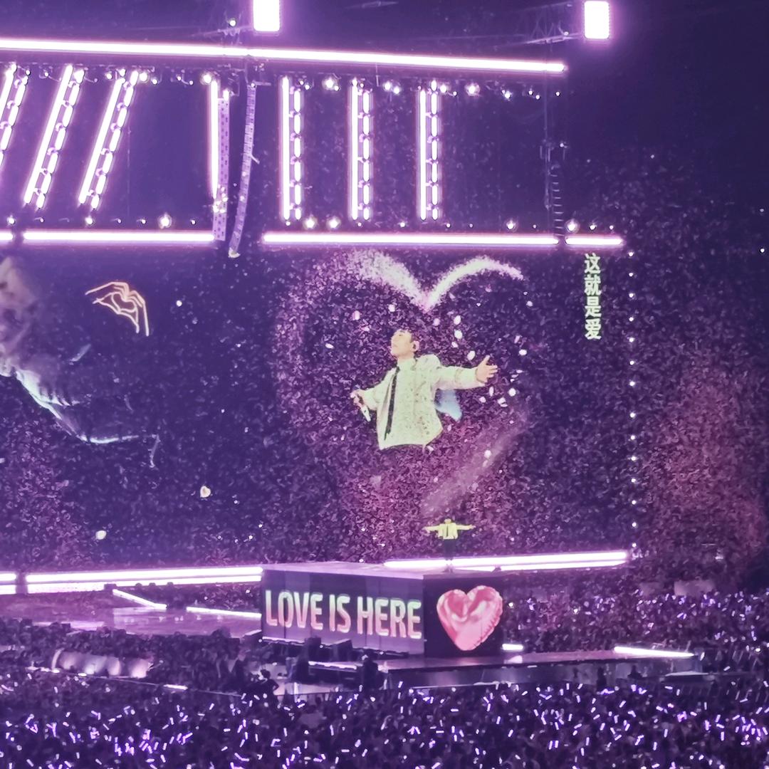 爱慕虚荣大猩猩🦍