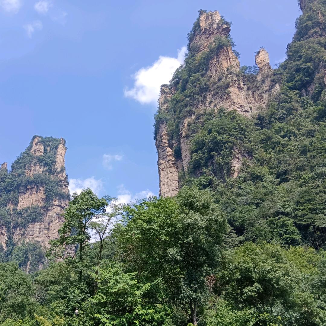 AA湖北京海-曾鸣曦1728226788