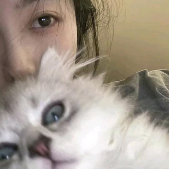 熬夜伤心肝脾胃肾