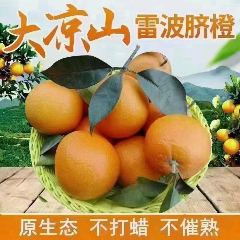 雷波脐橙《自产自销》