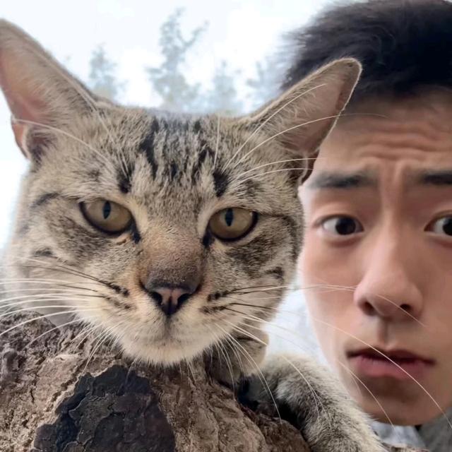 ZHENG RUI🪽