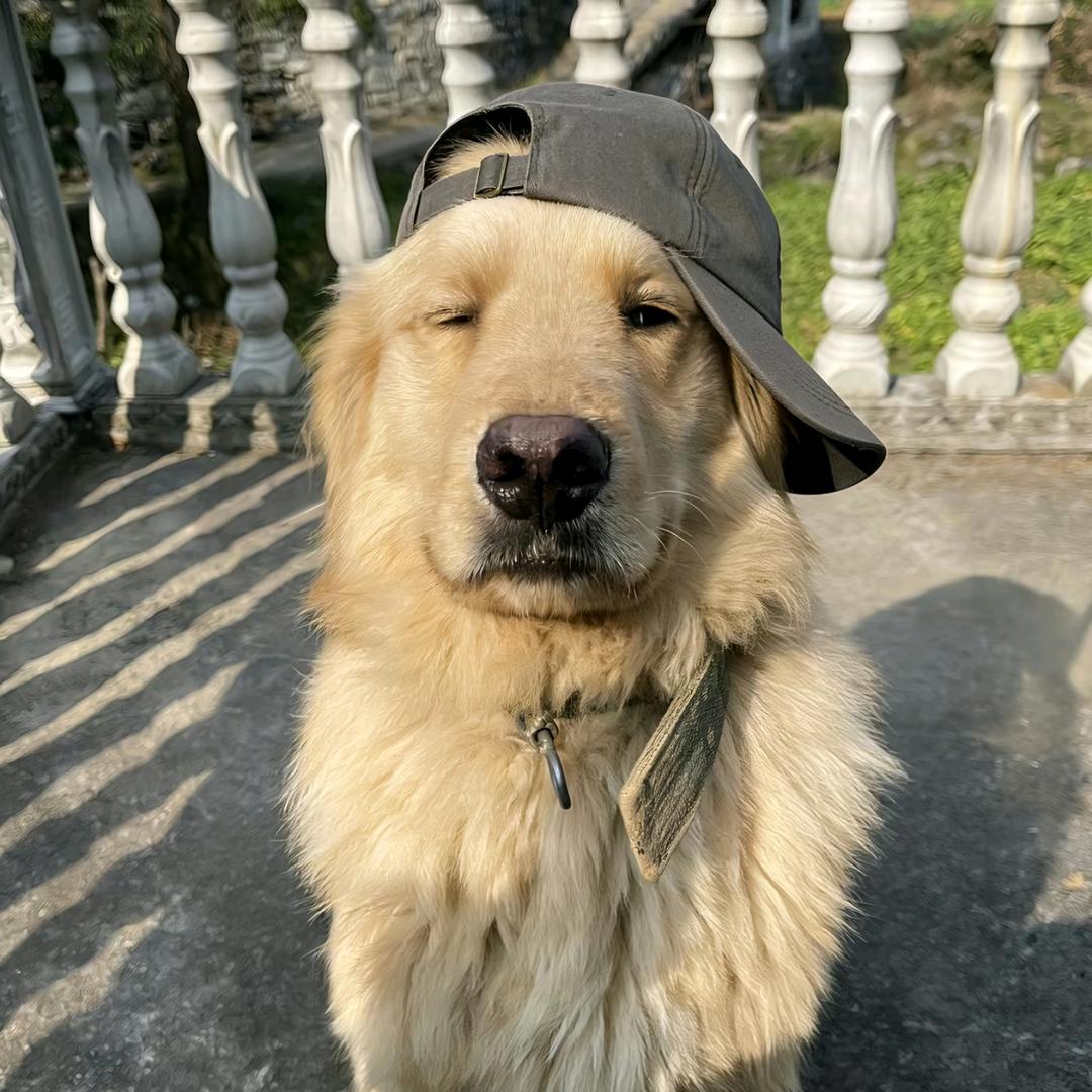 ㅤㅤㅤ等