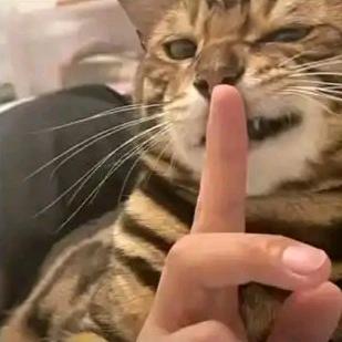 ✿ۣ 吃枣發財 ^_−