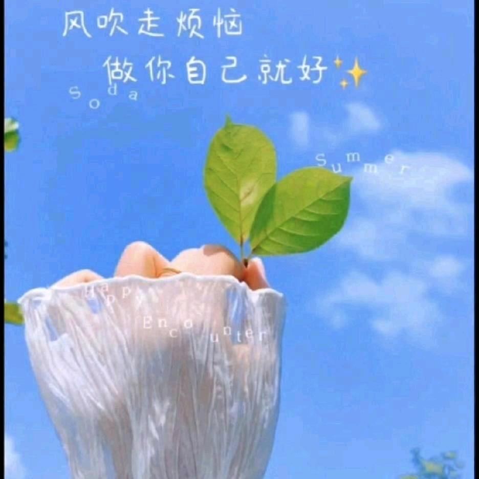 刘ℒ𝒾𝓊 ᥫᩣ