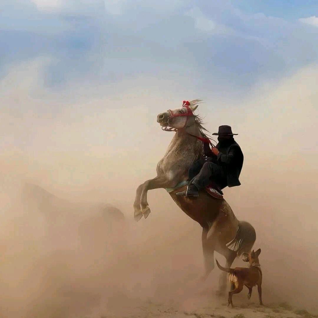 ￴ㅤ￴￴ ￴￴￴ㅤ