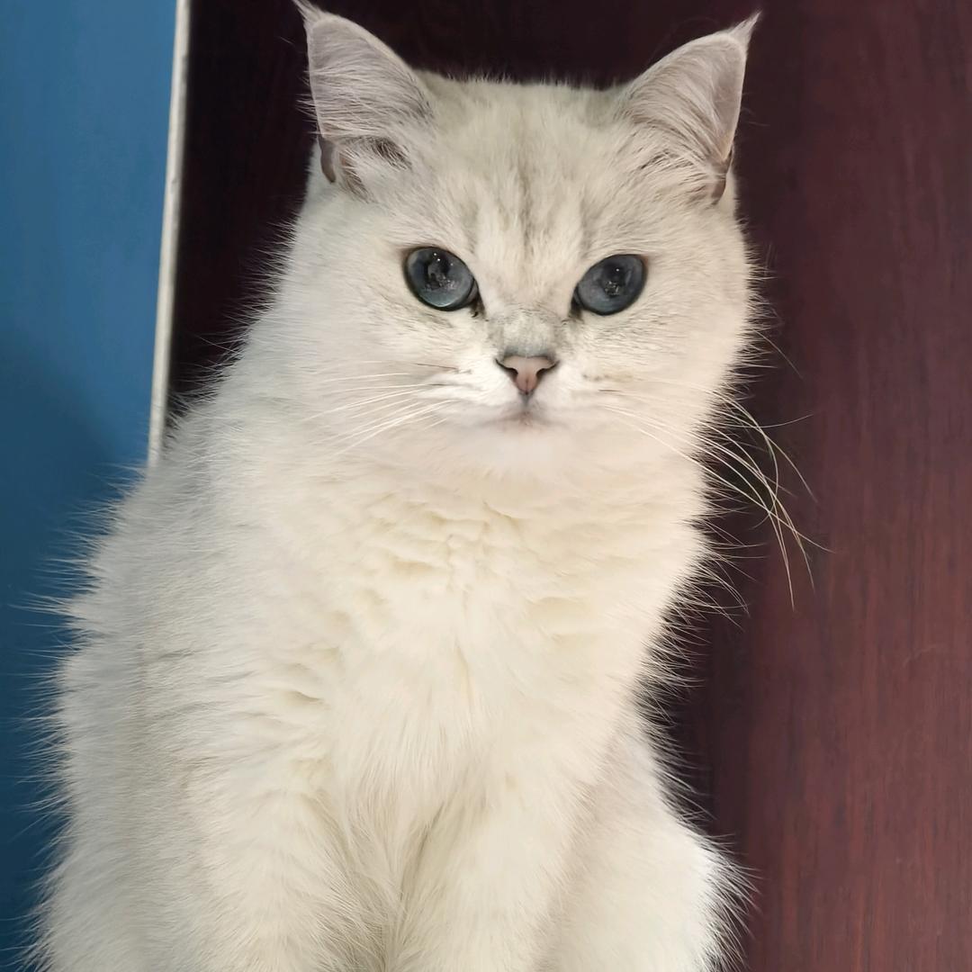 沈阳风越明零售店