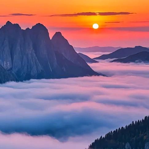 樊骆总仓（8号仓）